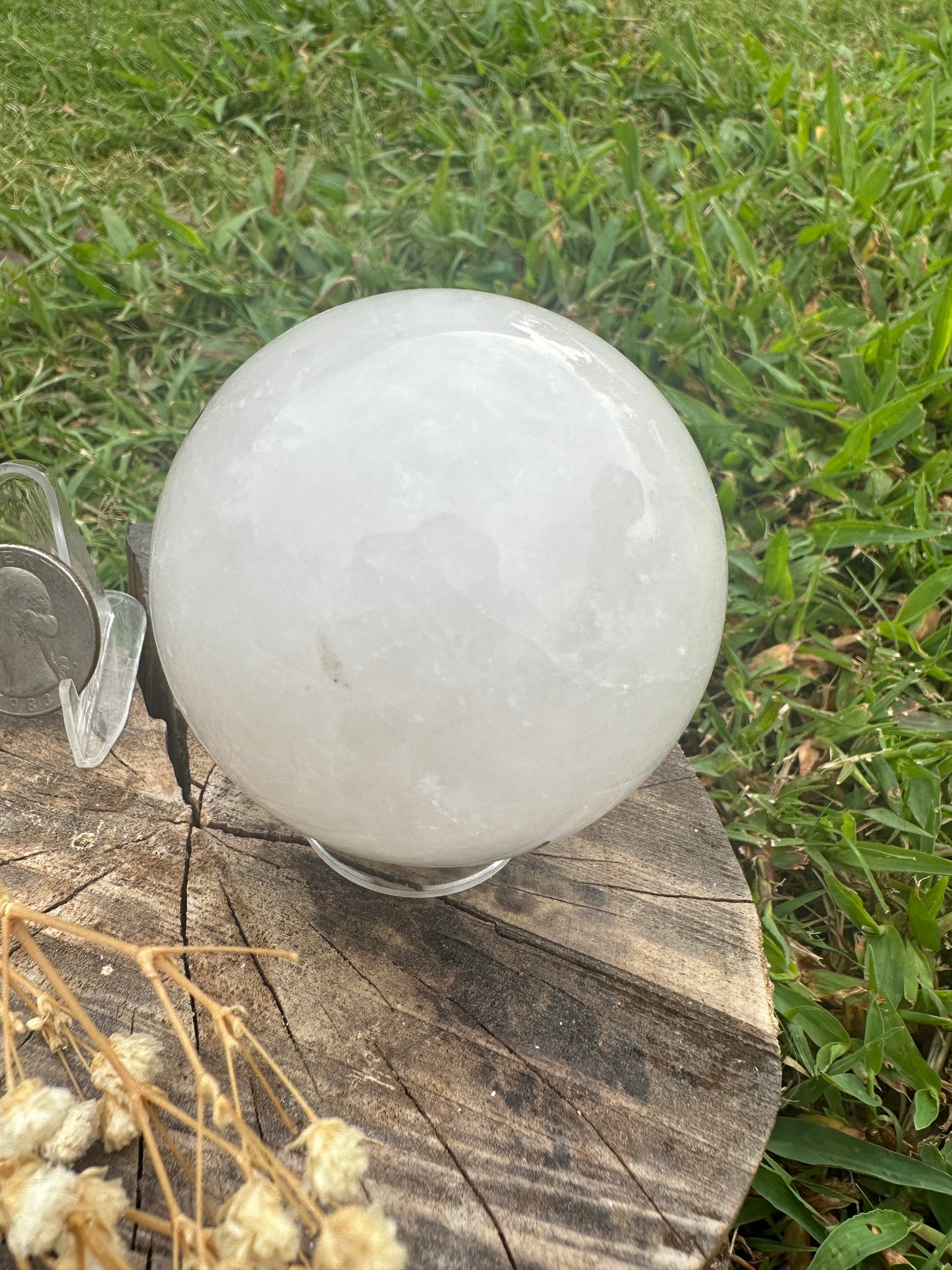 Black tourmaline in quartz sphere