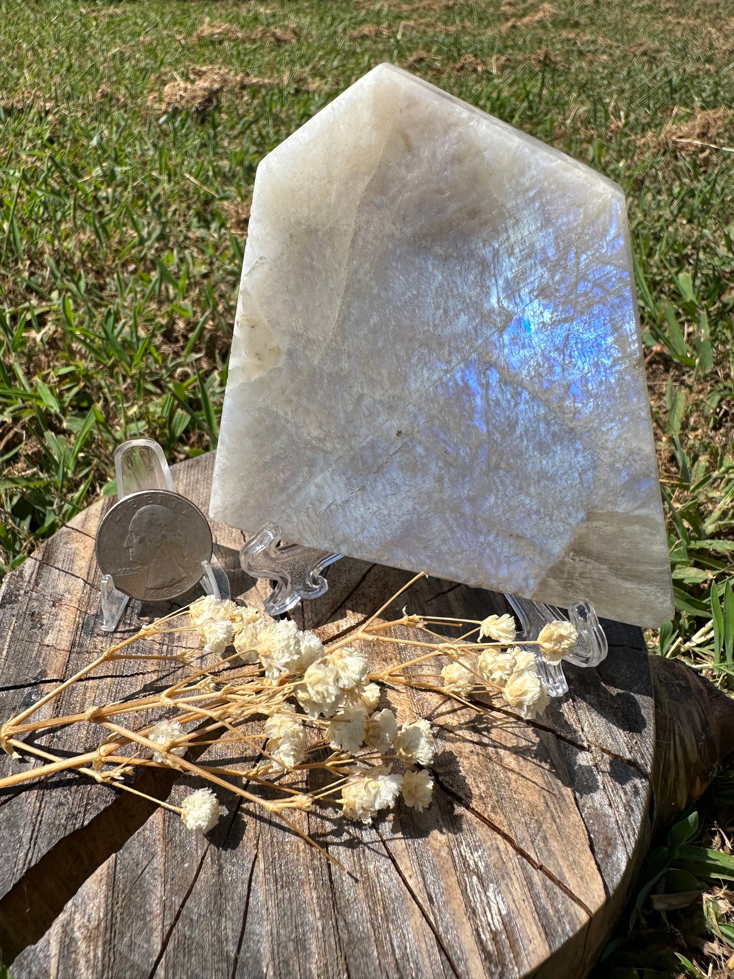 Blue moonstone crystal bundle, blue flash moonstone crystals, moonstone heart, freeform, slab, tower, snail carving