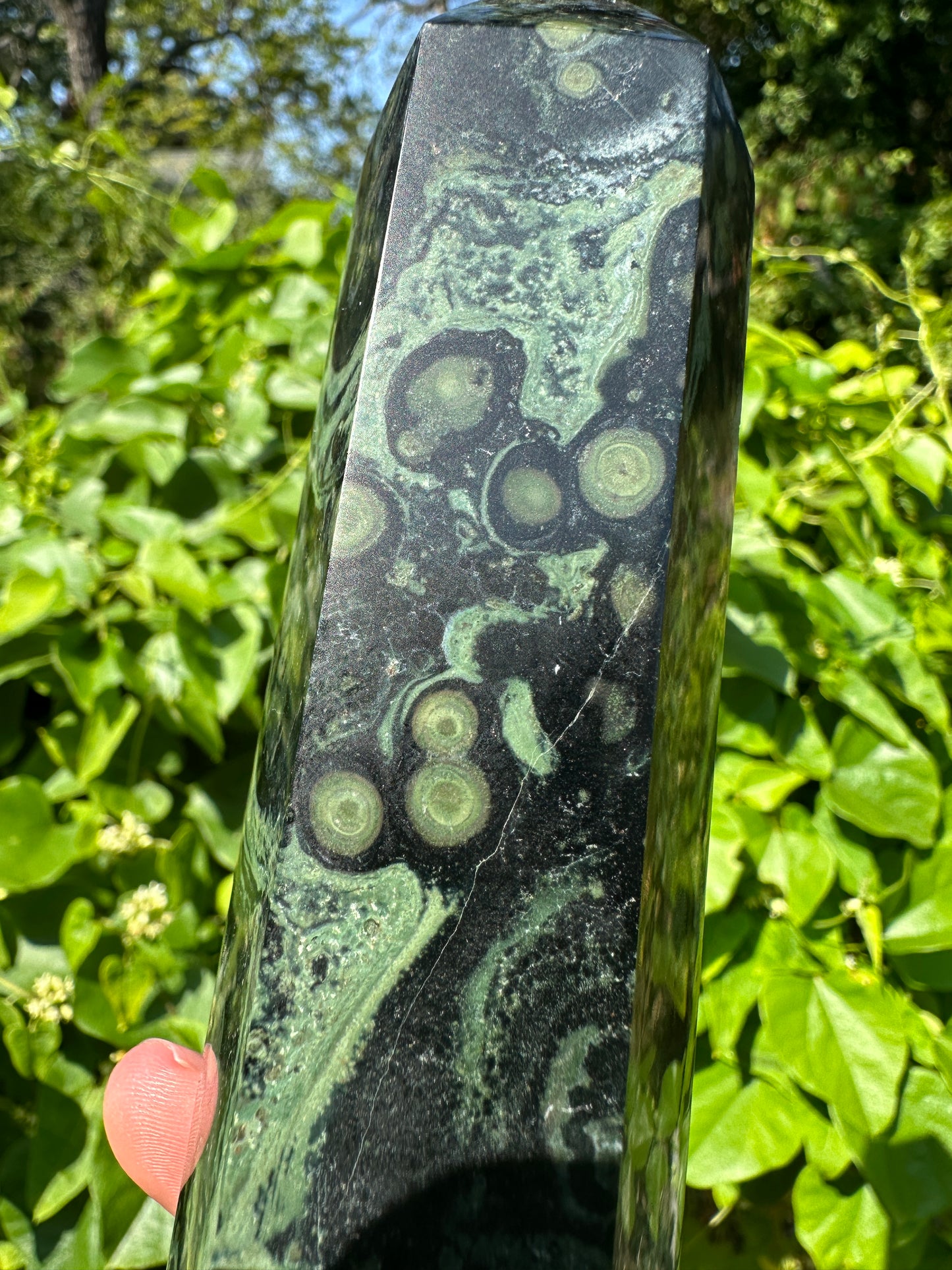 Kambaba Jasper tower, 7.5in green orbicular crystal tower, green kambaba tower