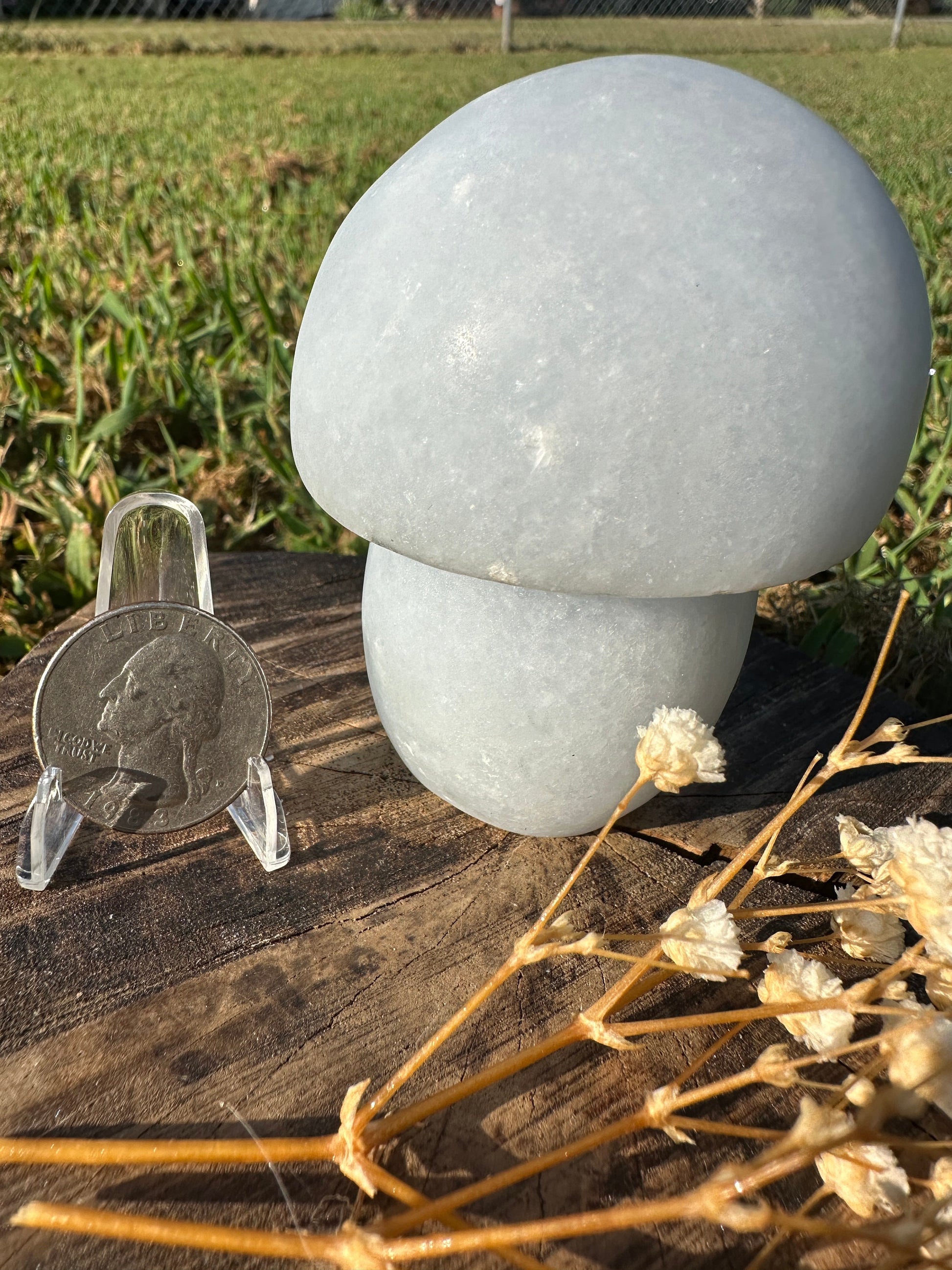 Blue calcite mushroom, large, crystal mushroom, blue, crystal mushroom